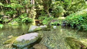 落合川・南沢湧水群と市場を巡る地元民おすすめモデルコース